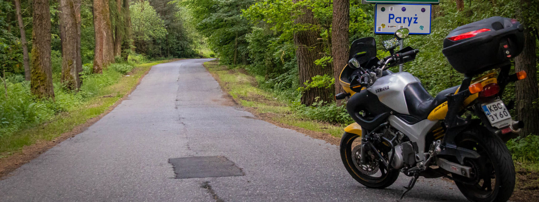 Niedźwiedź w Paryżu