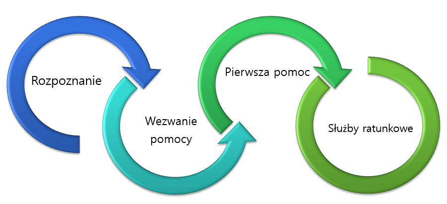 01 Łanńcuch przeżycia motoniedzwiedz.pl pierwsza pomoc