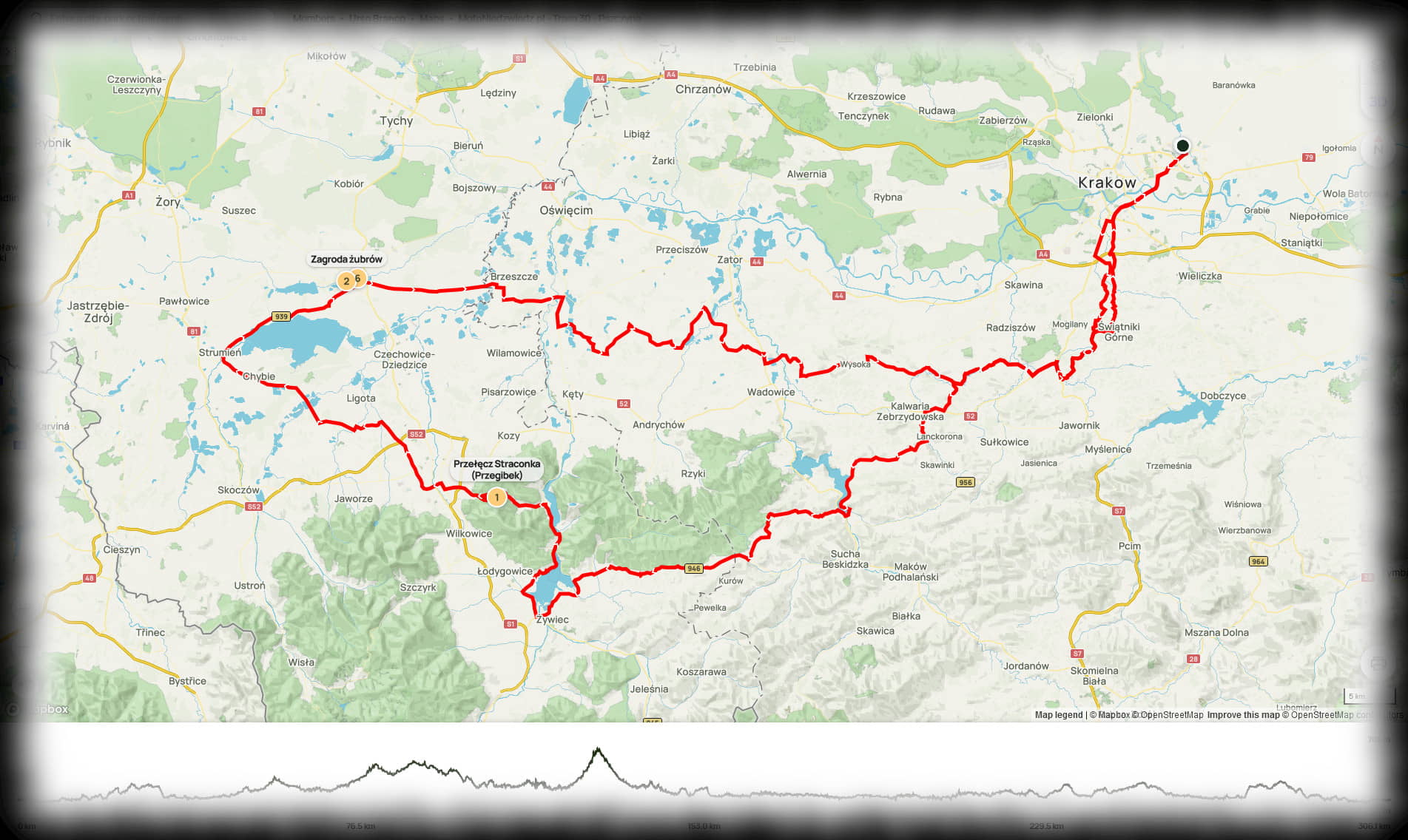 30. Pszczyna (307 km)