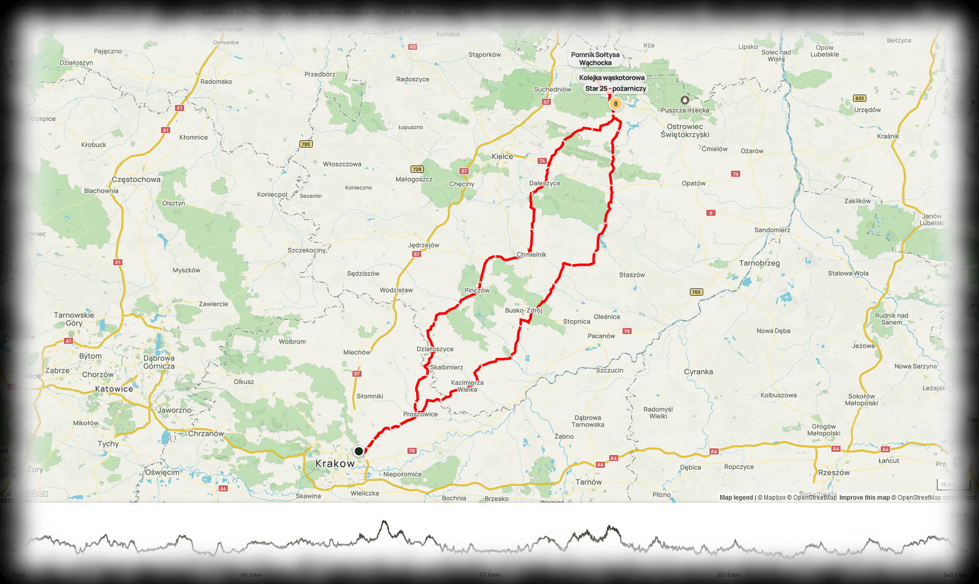 39. Polskie Gwiazdy (344 km)